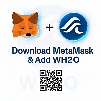 METAMASK AND ADD WH2O